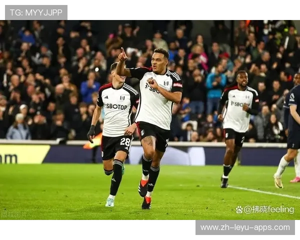 切尔西被曝暂停若干引援谈判