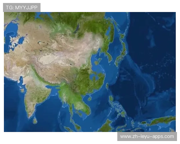 传播加速🌍全网扩散